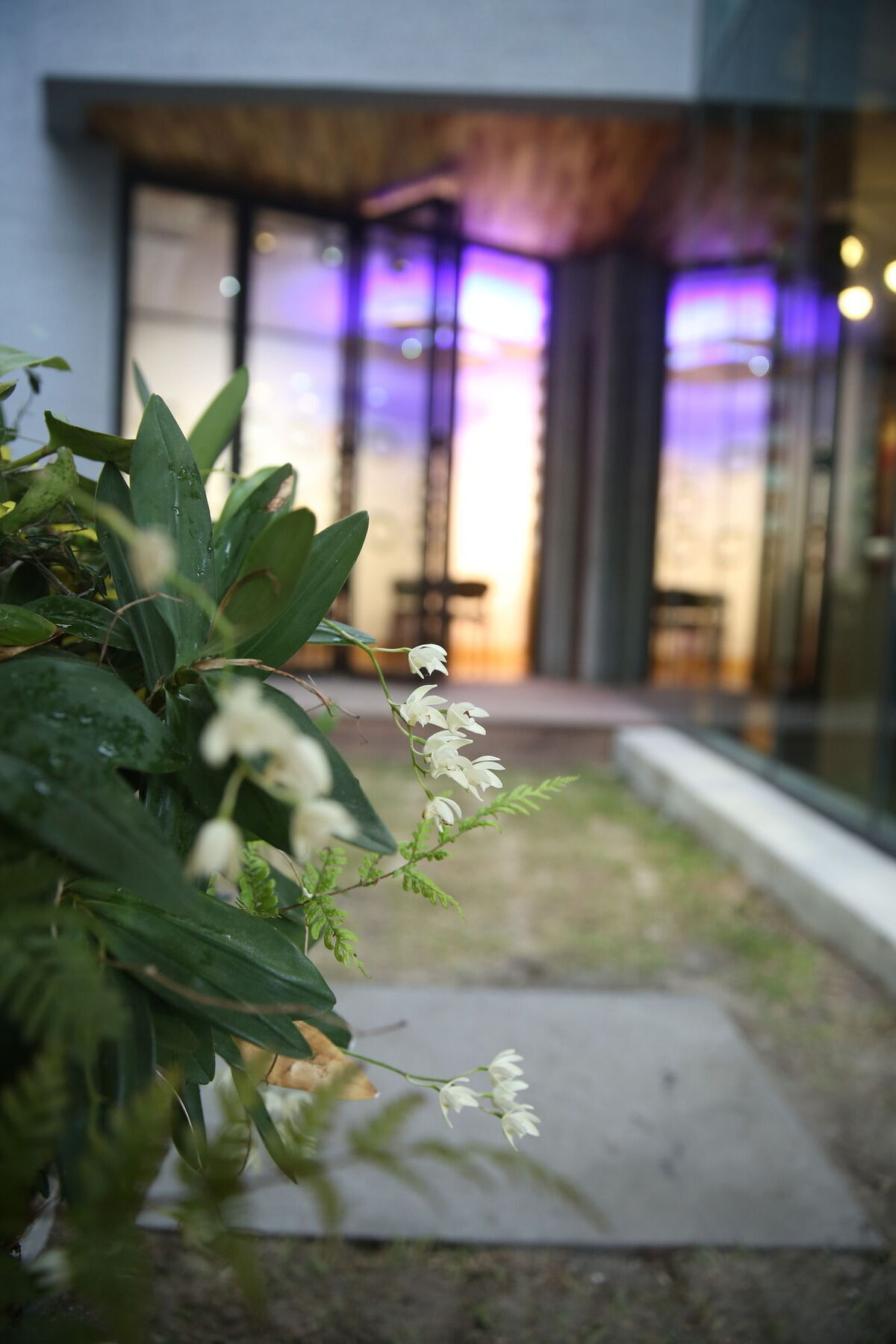 Sogondak House Villa Jeju Buitenkant foto